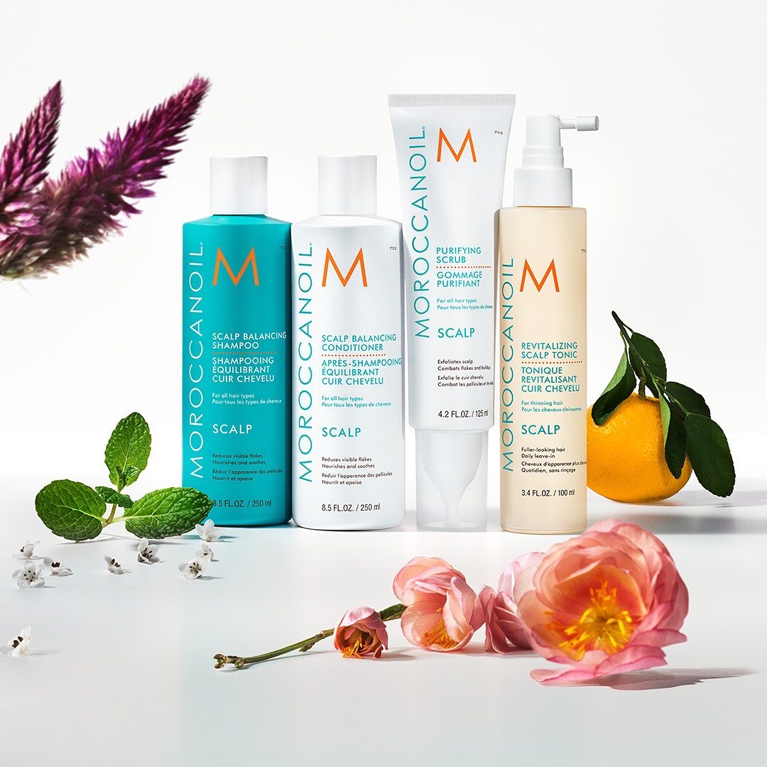 Get to know the Moroccanoil Scalp Collection!